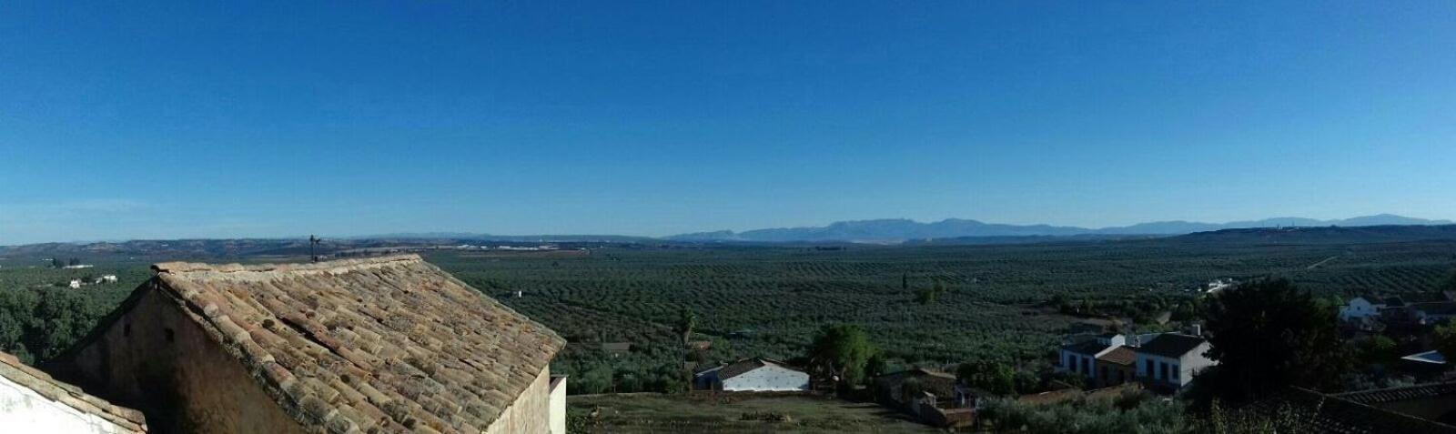 Casa Rural Verde Oliva Baños de la Encina Esterno foto